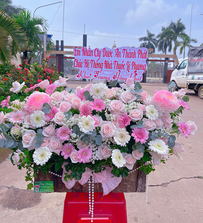hoa-khai-truong-td04